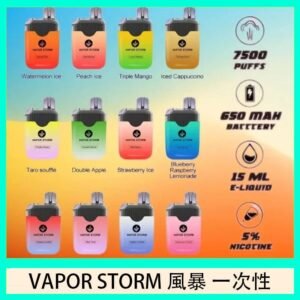 Vapor Storm風暴電子煙7500口（5%）一次性